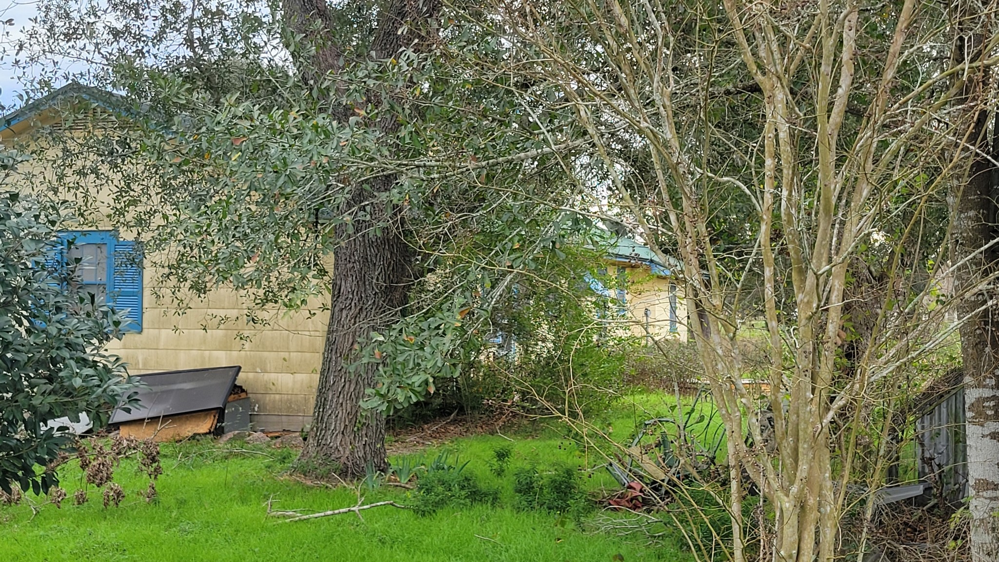 1105 Clipson Road Eagle Lake, TX 77434 - Photo 2 of 11