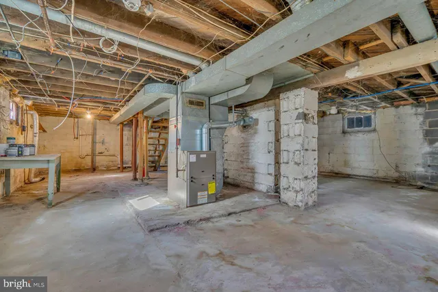 a view of a park with large trees