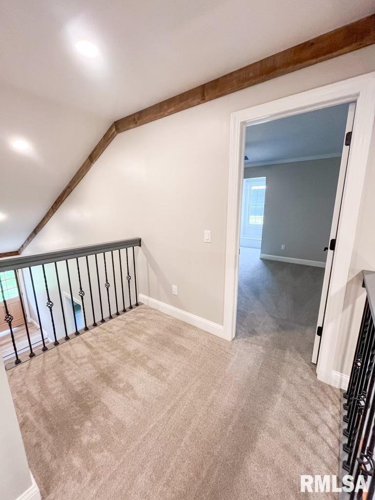 202 Stallion Way Goodfield, IL 61742 - Photo 66 of 99