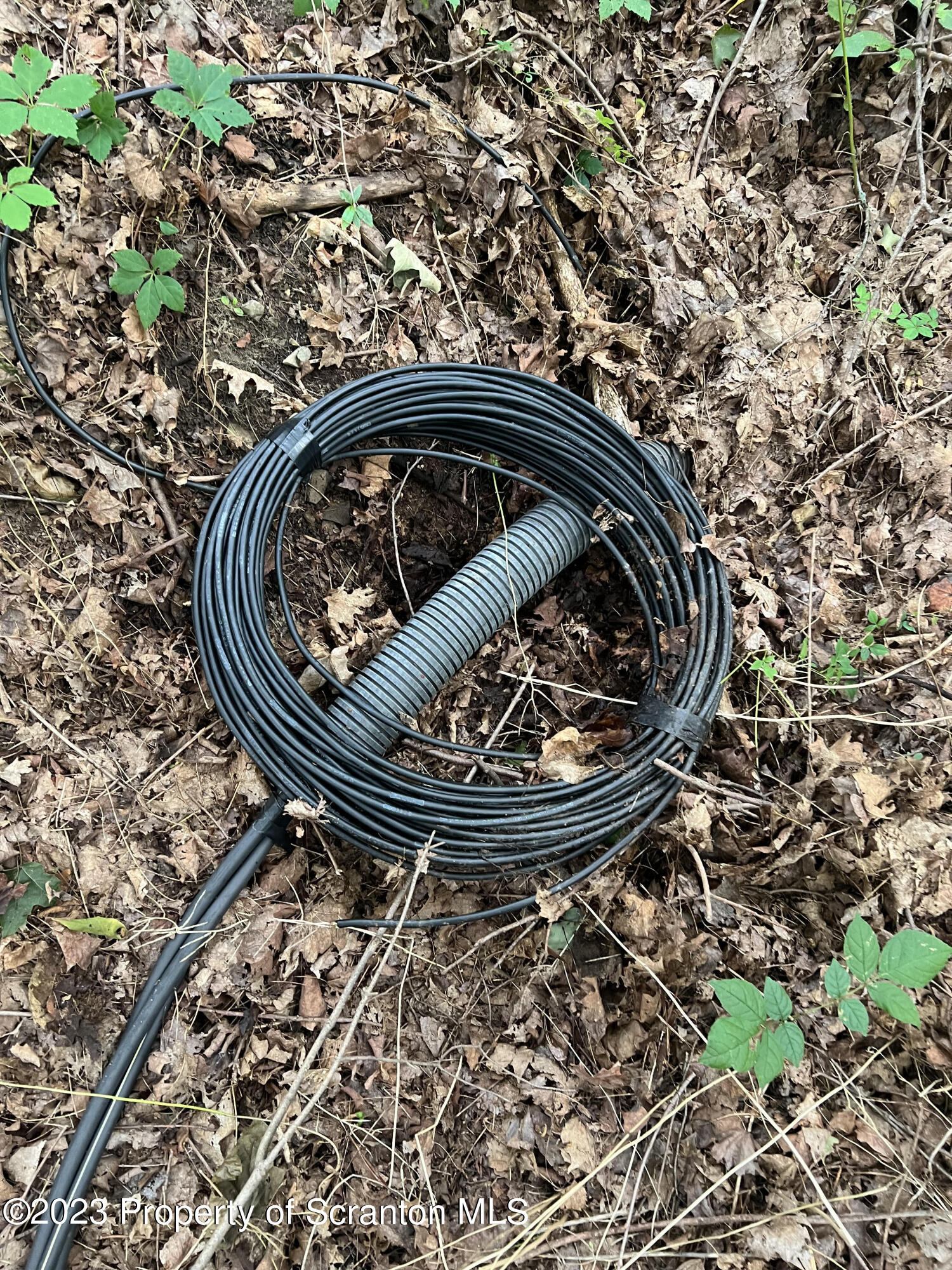 Colony Lane Clarks Summit, PA 18411 - Photo 6 of 6 a closeup of a sink