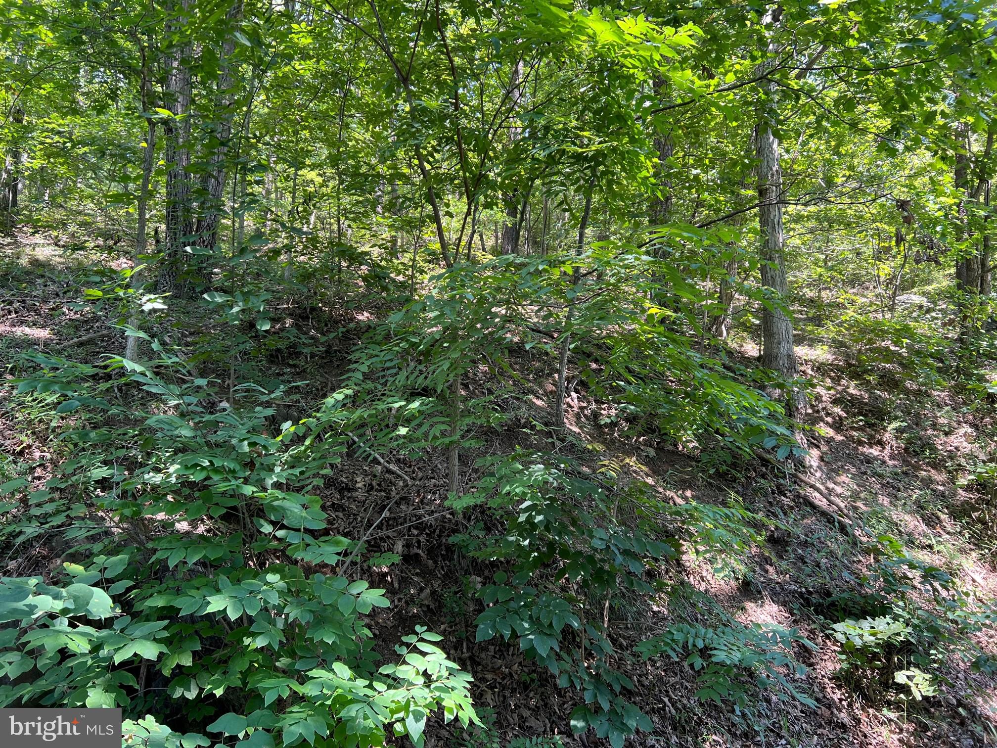 Hill Road Warfordsburg, PA 17267 - Photo 2 of 5