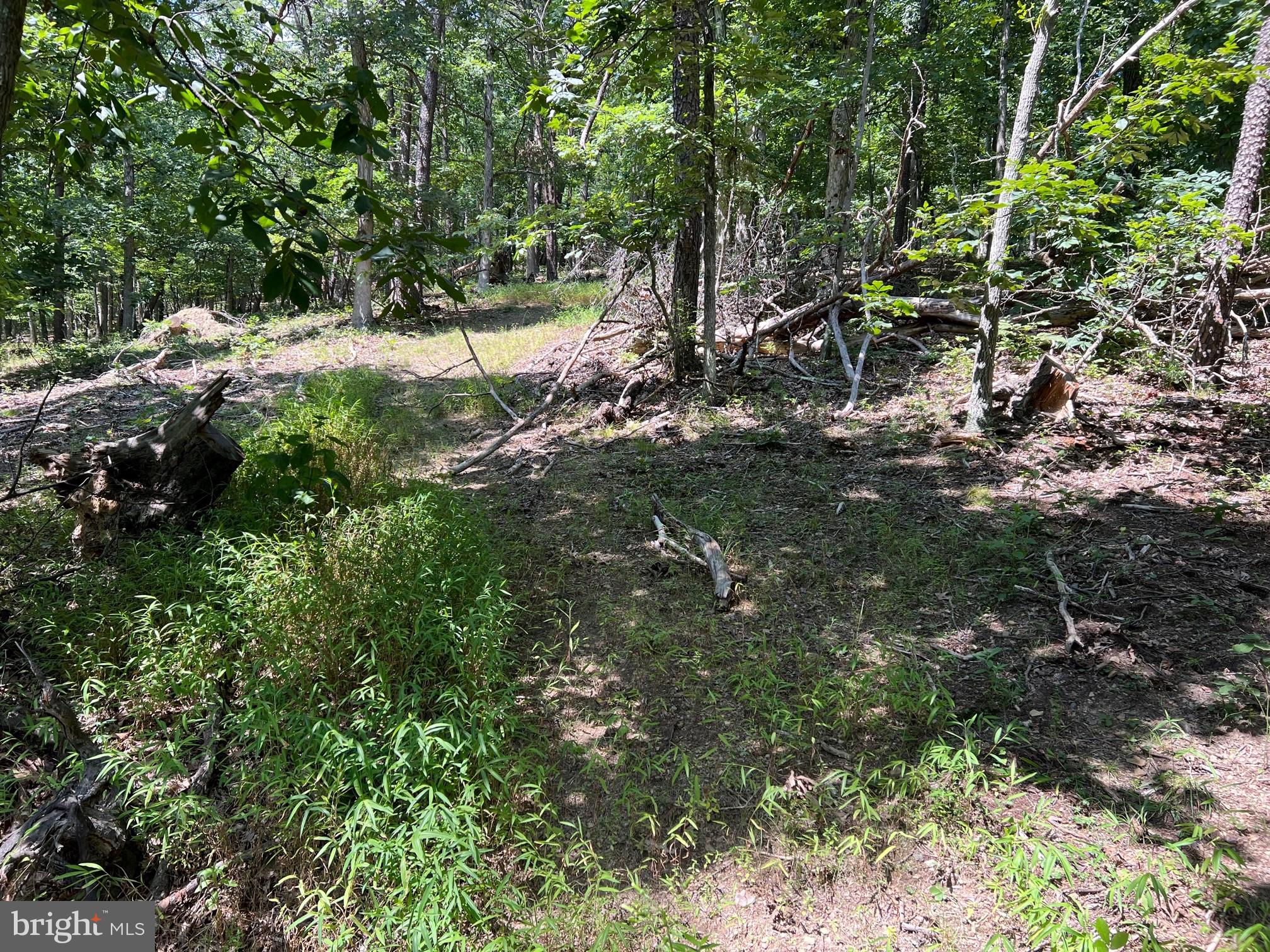 Hill Road Warfordsburg, PA 17267 - Photo 3 of 5