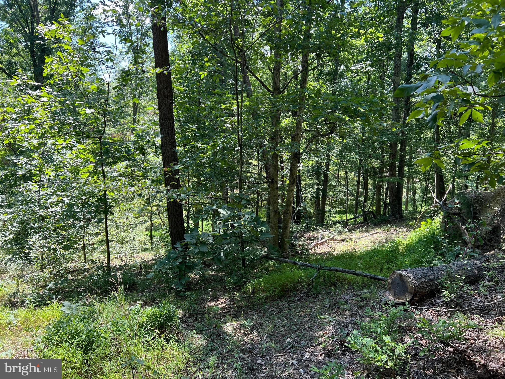 Hill Road Warfordsburg, PA 17267 - Photo 4 of 5