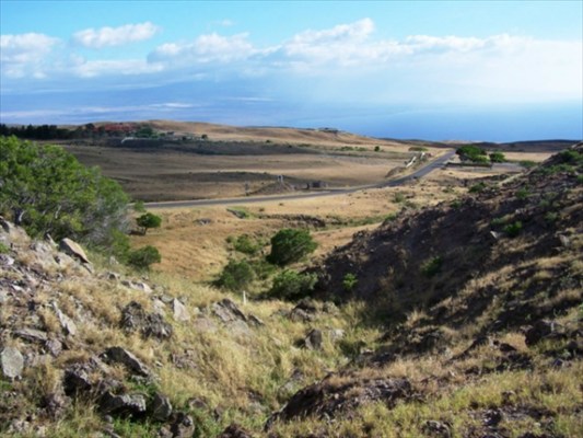 548 Kohala Ranch Road Kamuela, HI 96743 - Photo 1 of 1 Gallery Image 1