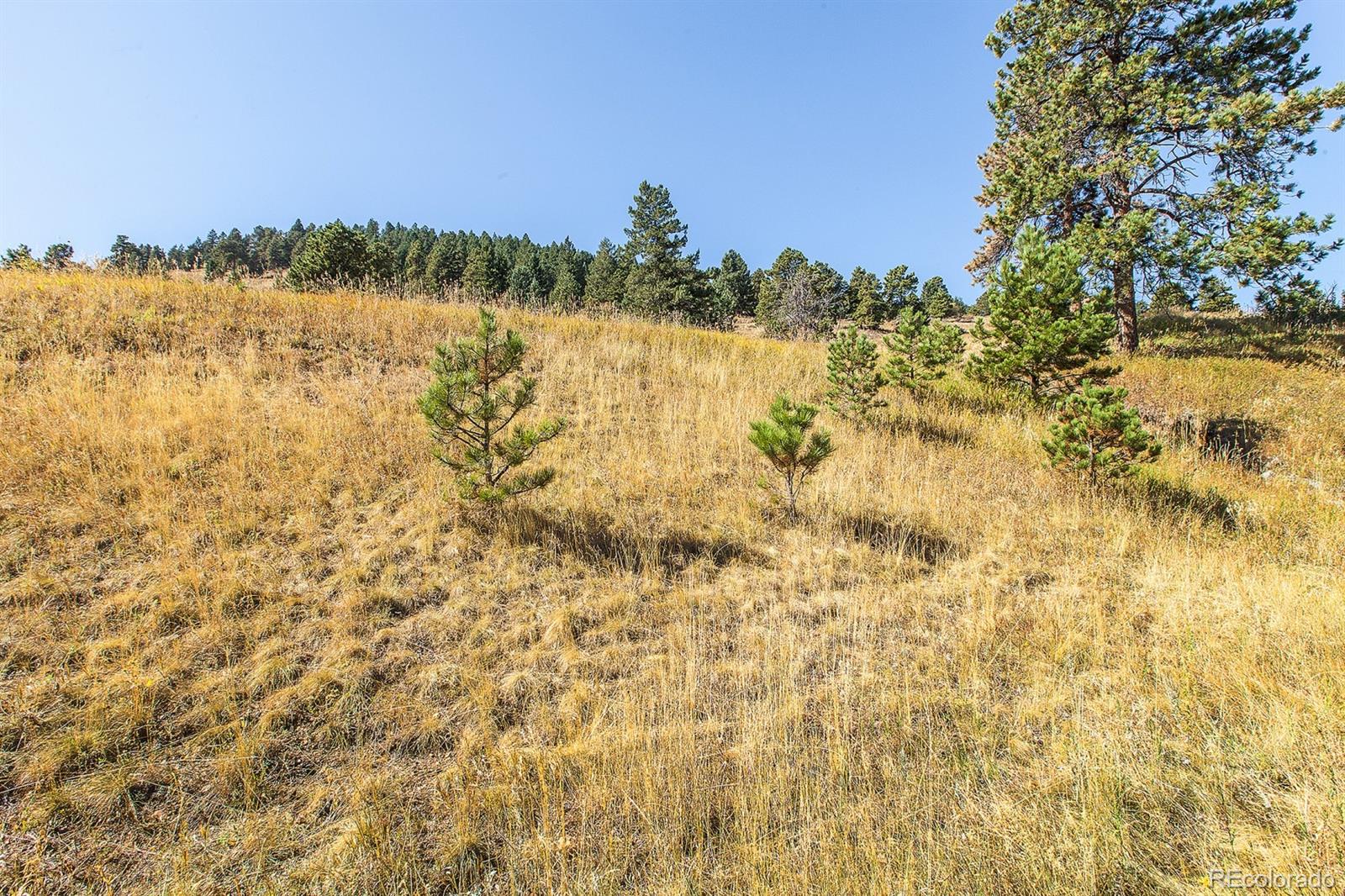24168 Deer Valley Road Golden, CO 80401 - Photo 25 of 25 Gallery Image 25