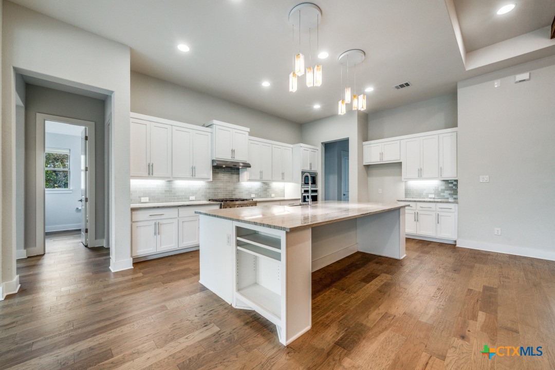 132 Raptor Beak Way Cedar Creek, TX 78612 - Photo 4 of 14