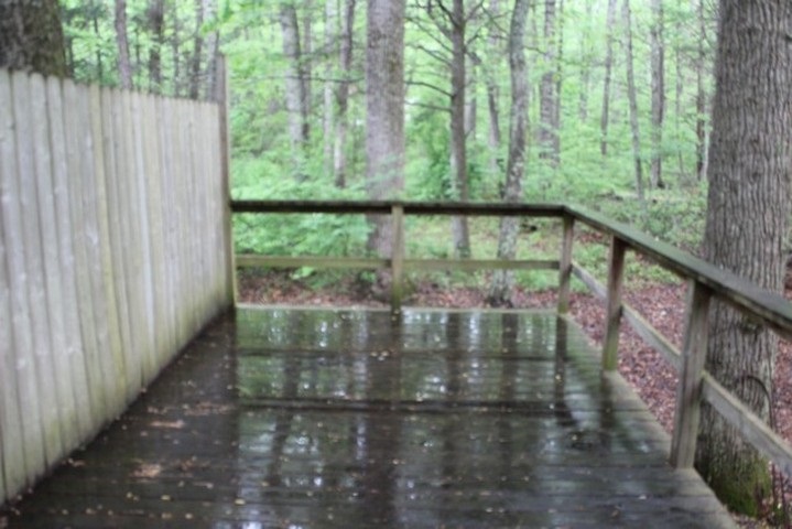 239 Marys Run Road Churchville, VA 24421 - Photo 19 of 44 Gallery Image 19