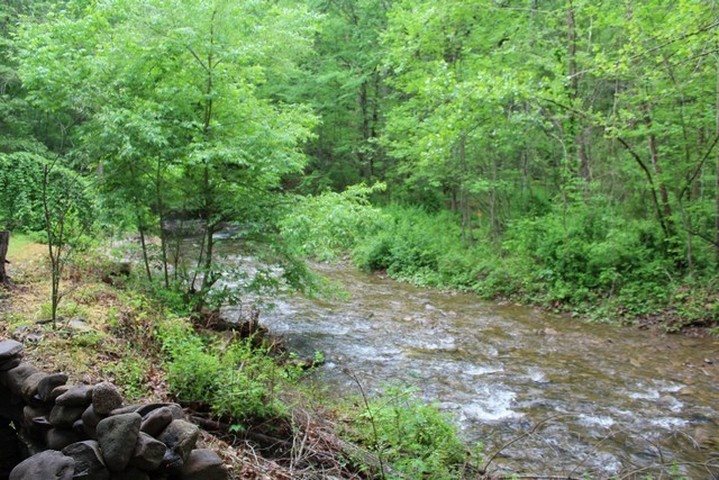 239 Marys Run Road Churchville, VA 24421 - Photo 23 of 44 Gallery Image 23