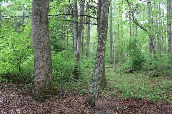 Gallery Image 6