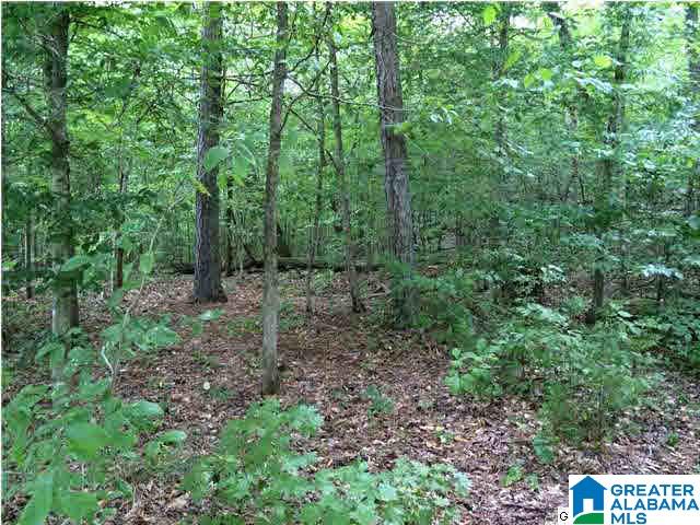 0 Bellerive Circle, Unit 160 Oneonta, AL 35121 - Photo 10 of 19