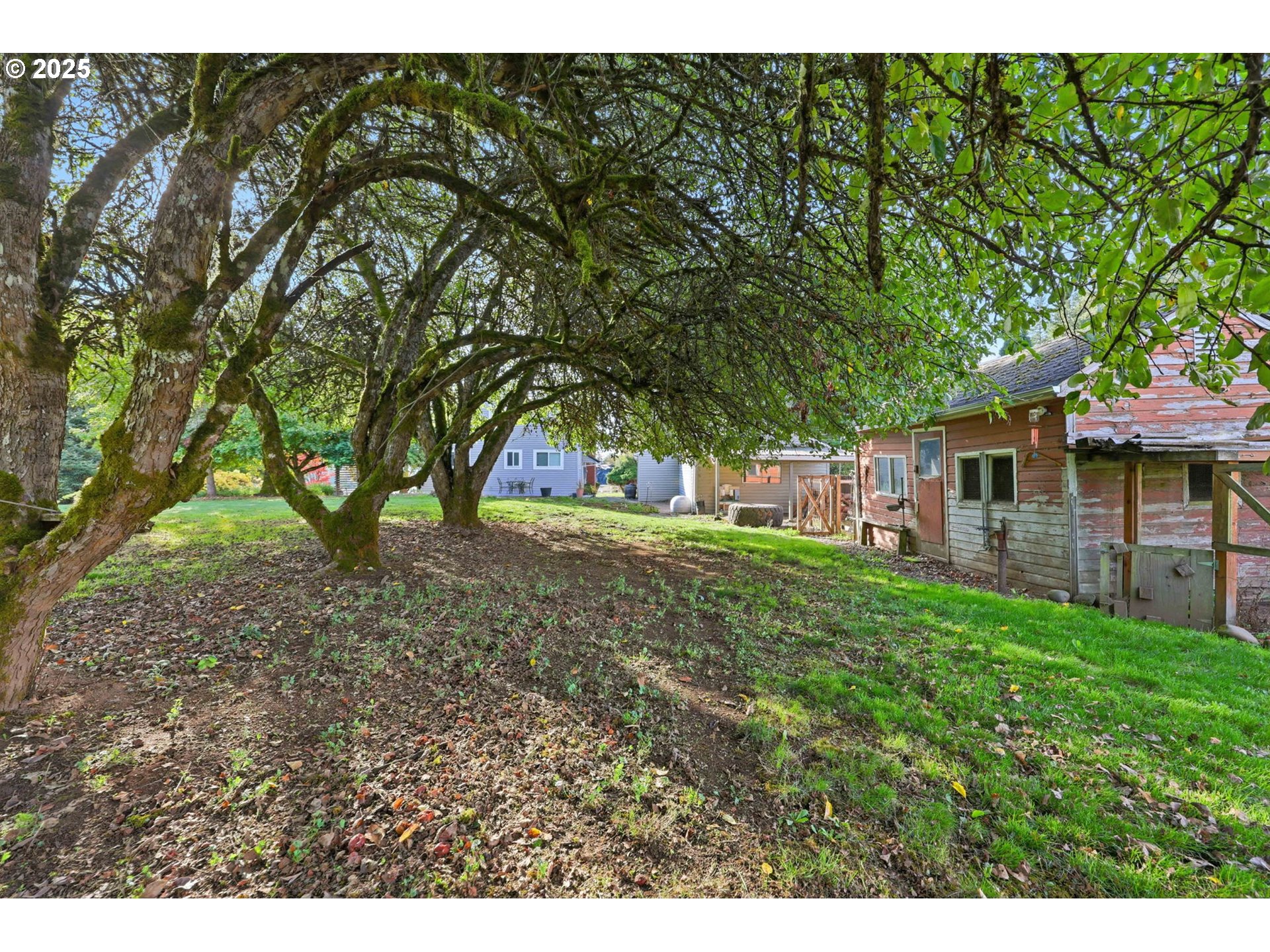 34603 Church Road Warren, OR 97053 - Photo 40 of 42 a view of backyard of house with green space