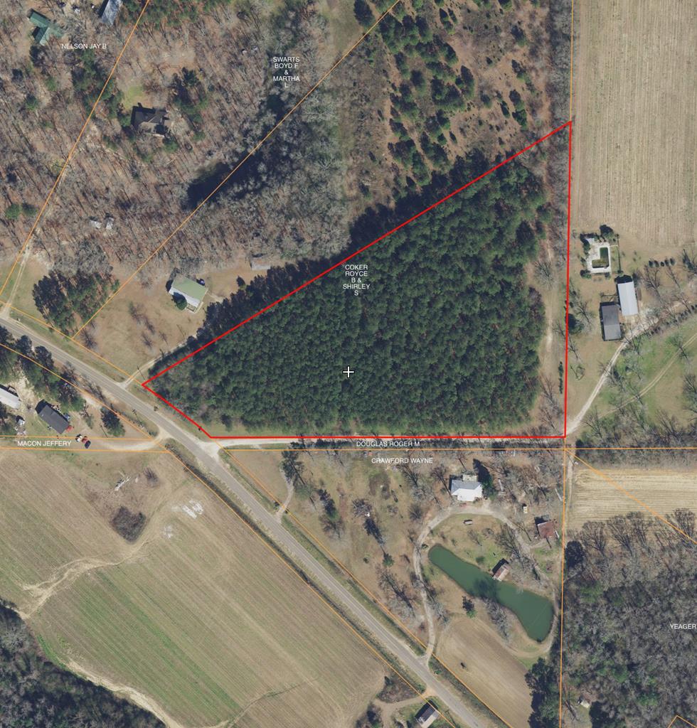 0 Furnie Folks Road Webb, AL 36376 - Photo 1 of 1