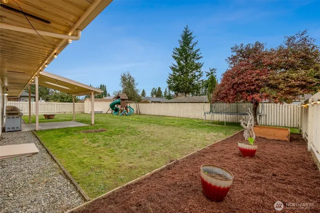 a view of a backyard with plants and a backyard