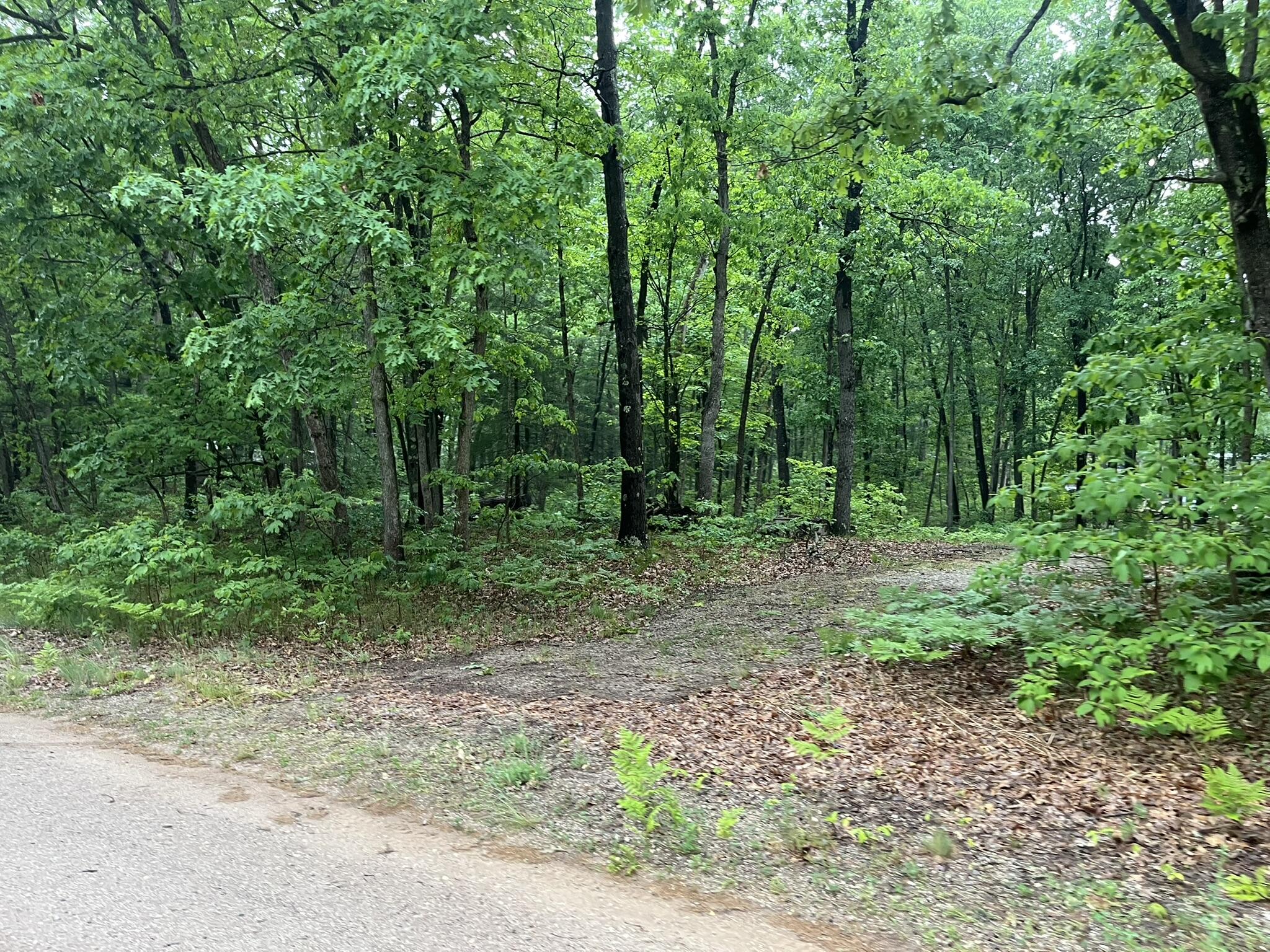 V/l East Sandra Kay Road Fountain, MI 49410 - Photo 2 of 13 driveway