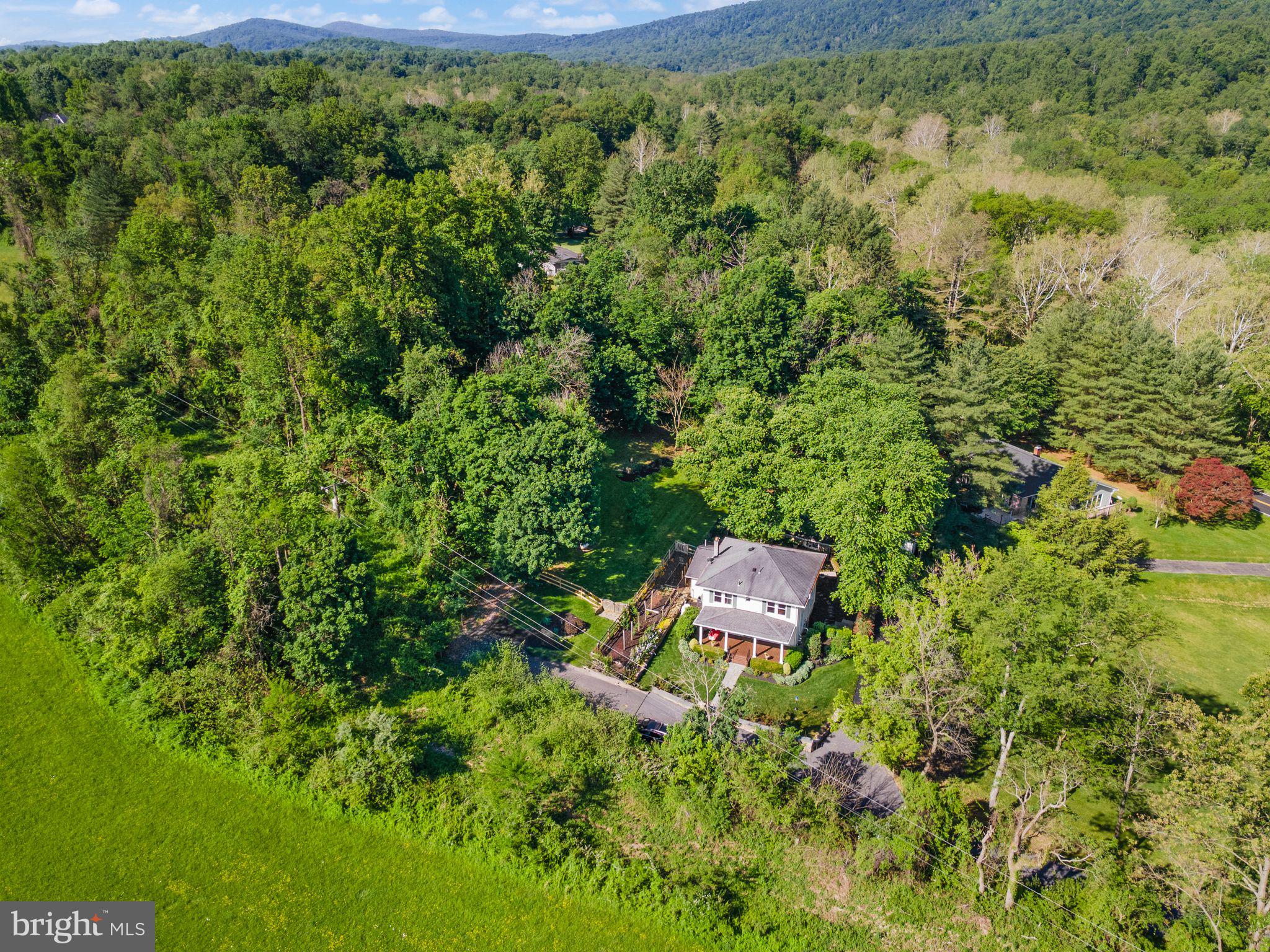 37151 Branchriver Road Purcellville, VA 20132 - Photo 57 of 63 an aerial view of residential house with outdoor space and trees all around