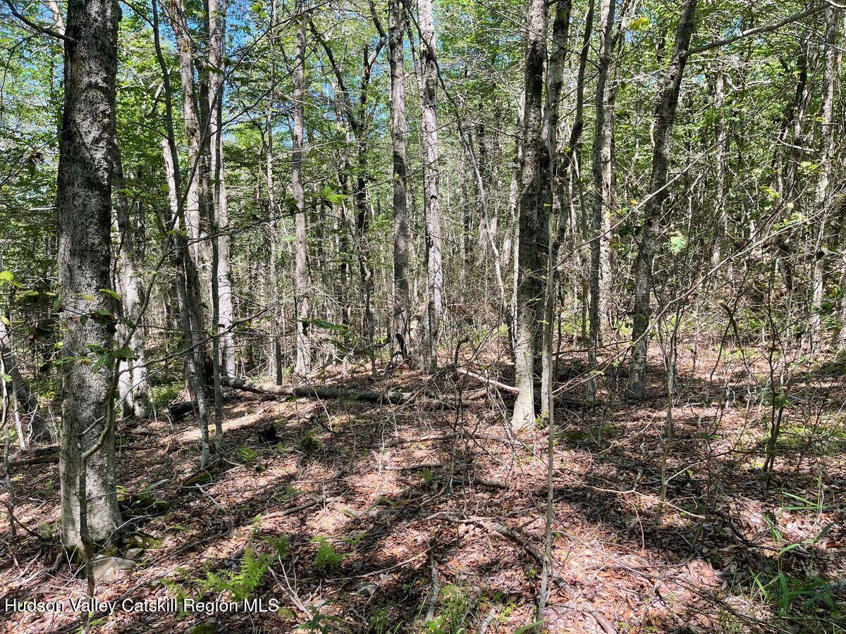 3045 Red Hill Road Grahamsville, NY 12740 - Photo 11 of 15 11