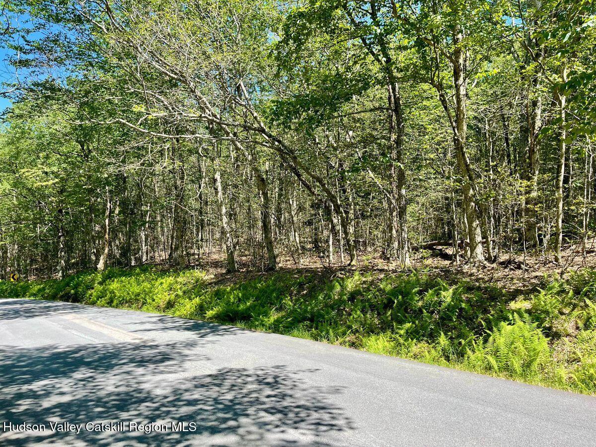 3045 Red Hill Road Grahamsville, NY 12740 - Photo 13 of 15 13