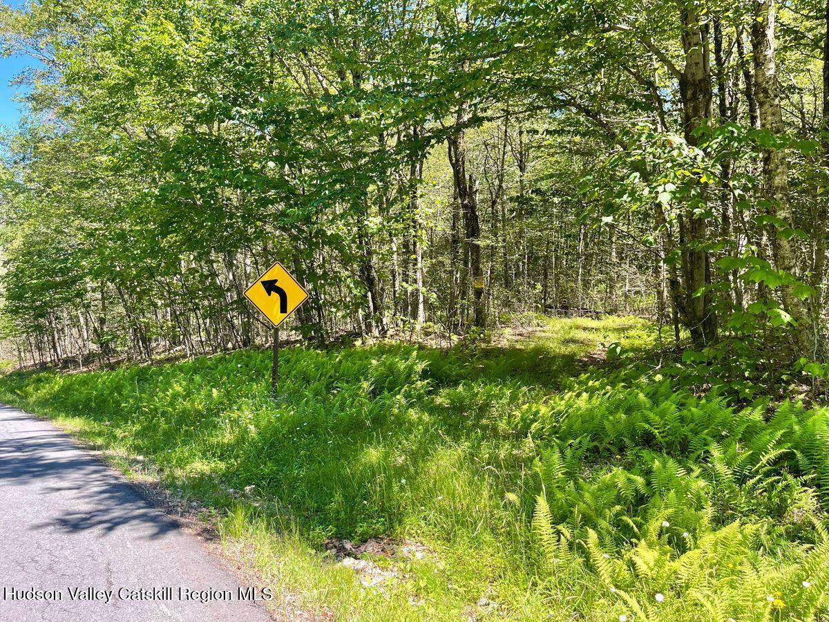 3045 Red Hill Road Grahamsville, NY 12740 - Photo 2 of 15 2