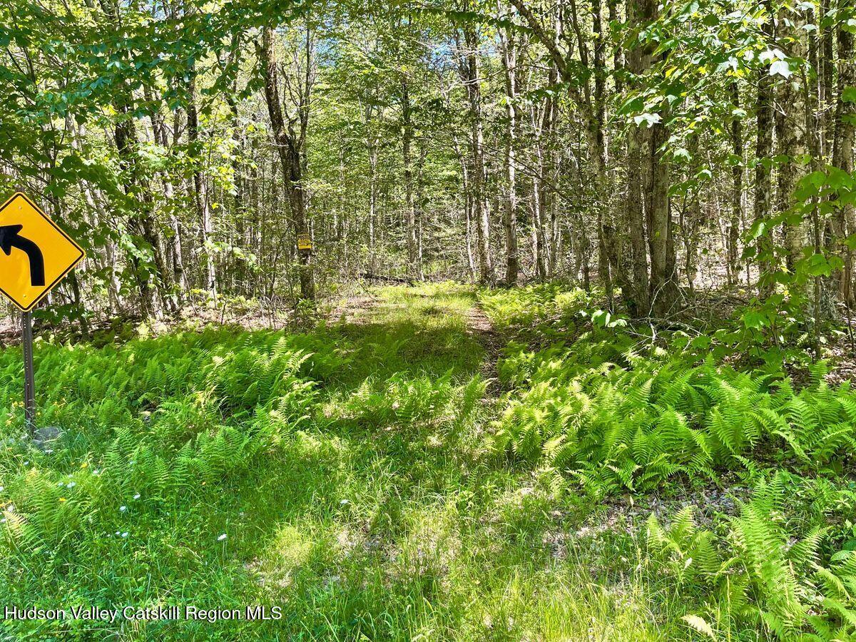 3045 Red Hill Road Grahamsville, NY 12740 - Photo 3 of 15 3