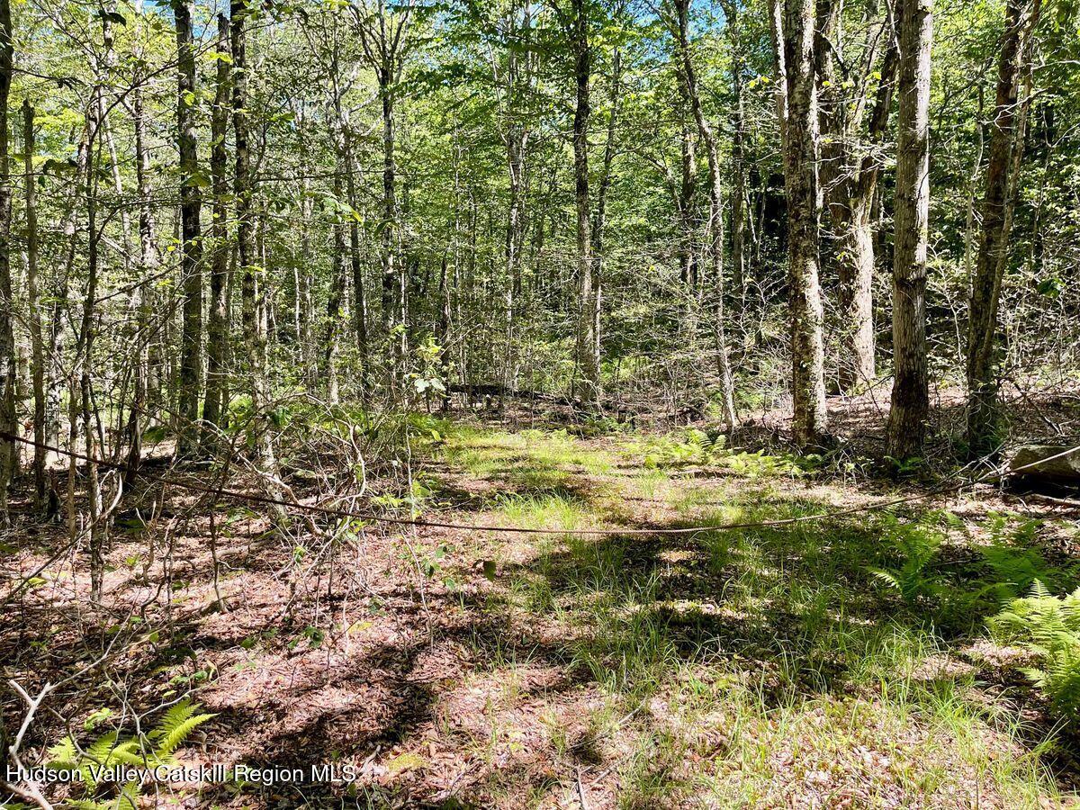 3045 Red Hill Road Grahamsville, NY 12740 - Photo 4 of 15 4