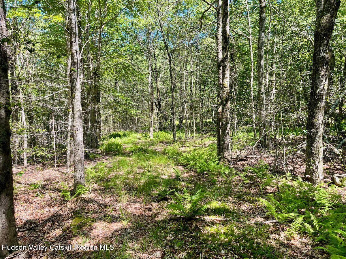 3045 Red Hill Road Grahamsville, NY 12740 - Photo 5 of 15 5