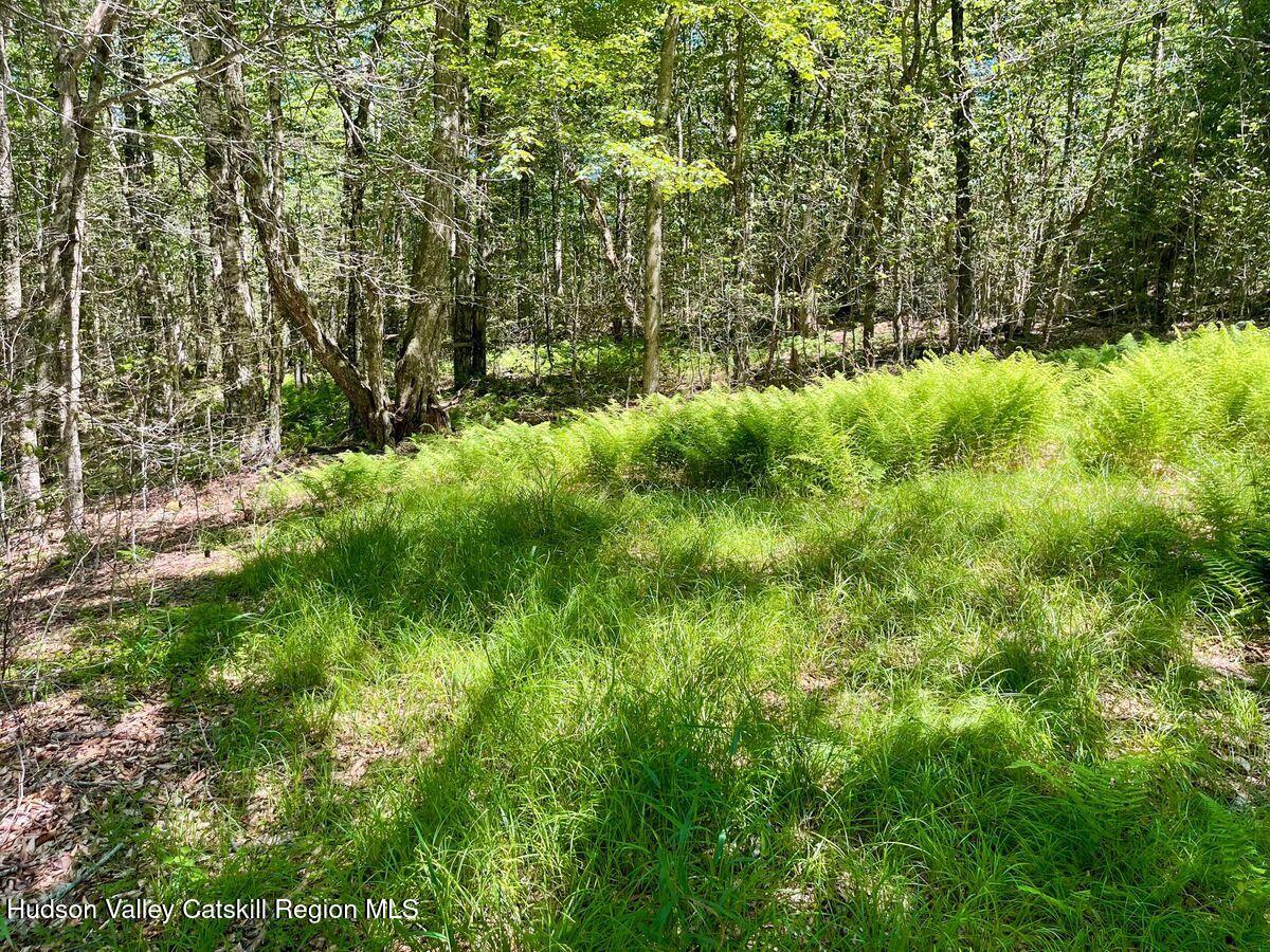 3045 Red Hill Road Grahamsville, NY 12740 - Photo 10 of 15 10