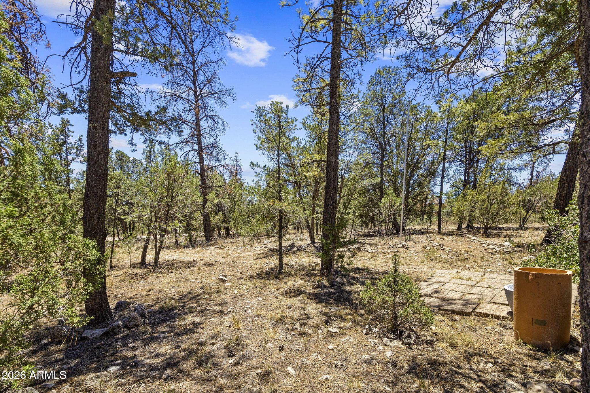 2142 Rimview Trail Overgaard, AZ 85933 - Photo 26 of 39 2142RimviewTrl-Heber-AZ-26