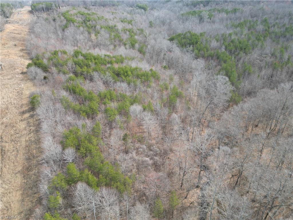 1200 Purcell Road Reidsville, NC 27320 - Photo 27 of 50