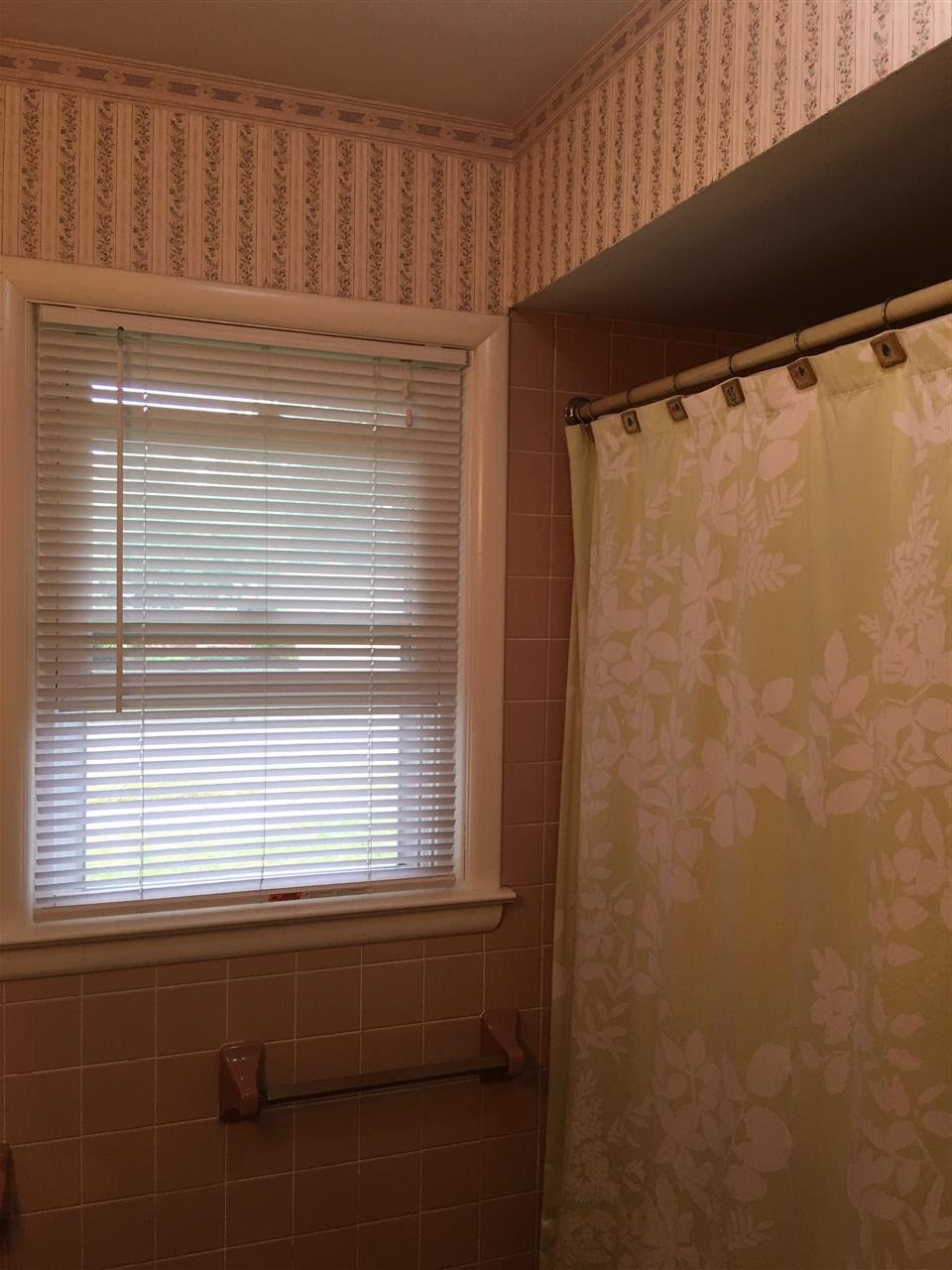 780 Renfrew Road Alma, MI 48801 - Photo 13 of 24 1836119-12.JPG