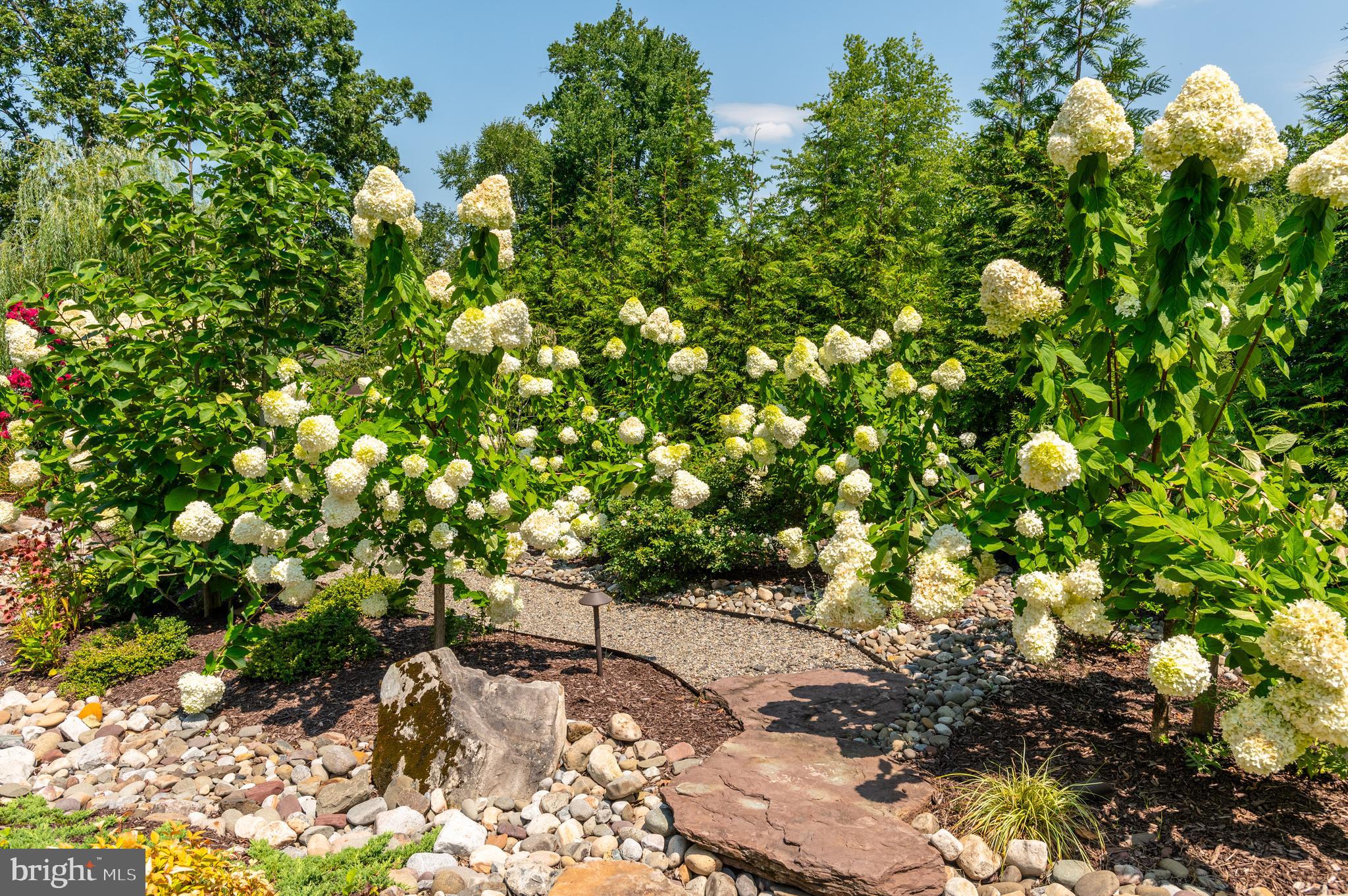 10120 Counselman Road Potomac, MD 20854 - Photo 74 of 80