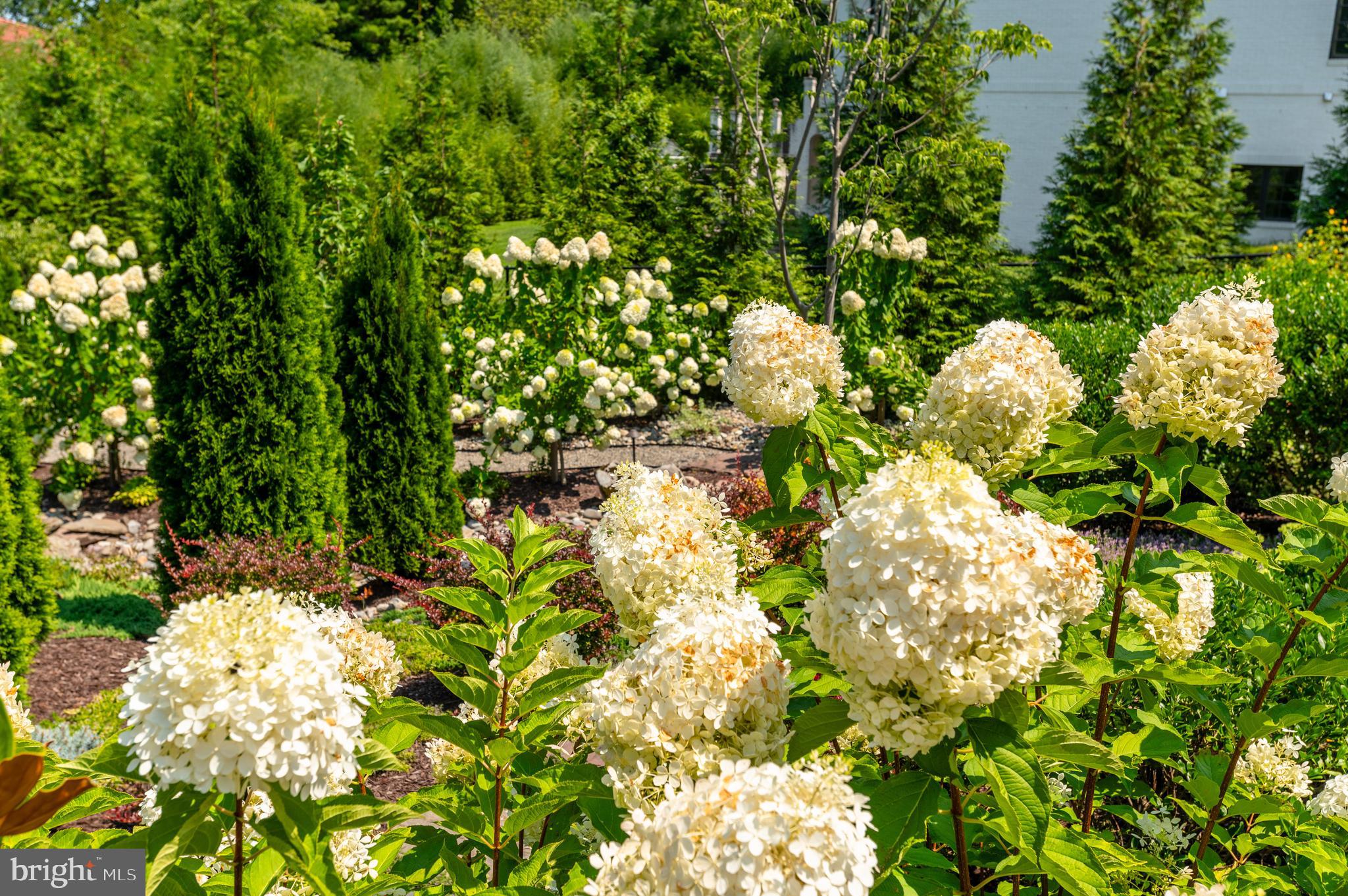 10120 Counselman Road Potomac, MD 20854 - Photo 76 of 80