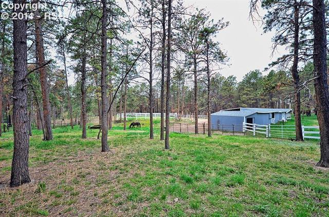 7955 Juniper Road Colorado Springs, CO 80908 - Photo 23 of 25 Gallery Image 23