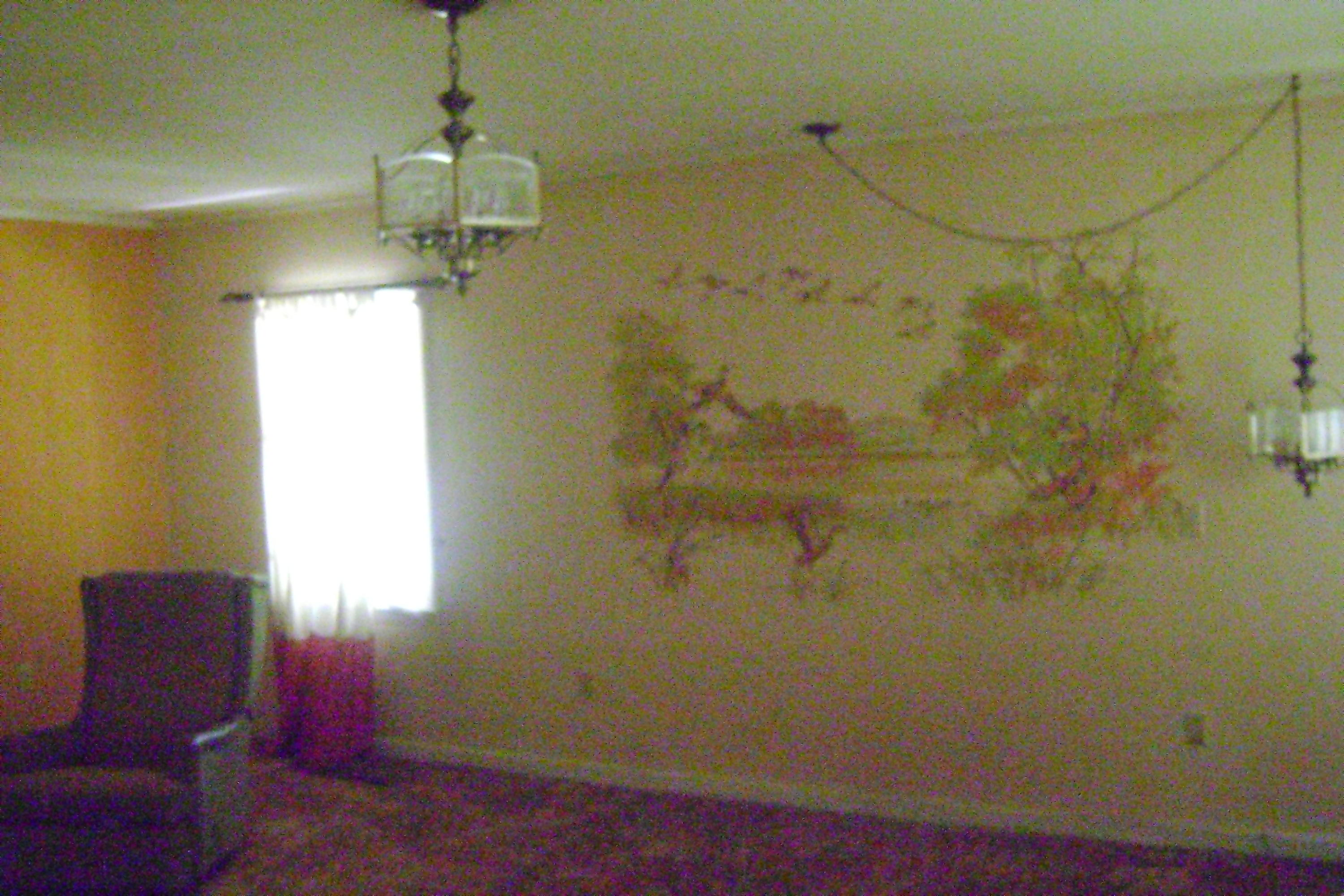 321 Ravenwood Road Walterboro, SC 29488 - Photo 14 of 18 Ravenwood 321-16