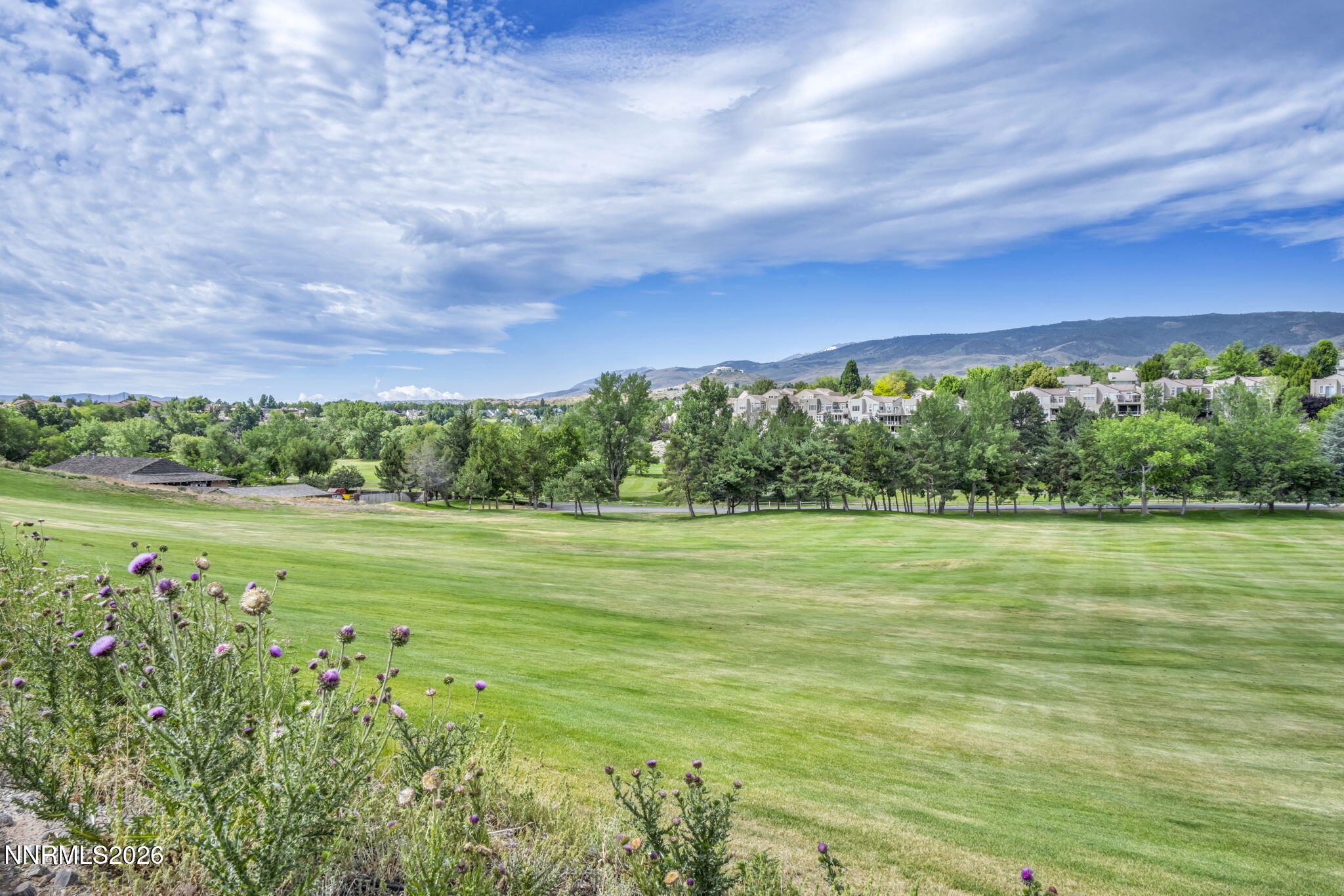 6008 Kelly Heights Way Reno, NV 89519 - Photo 28 of 45 20-web-or-mls-6008-kelly-hts-wy
