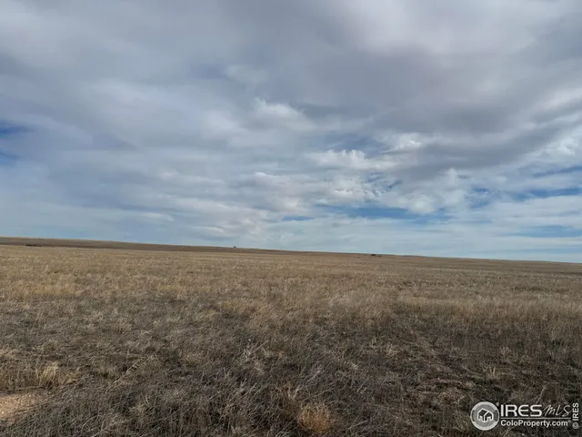 a view of a yard with an ocean