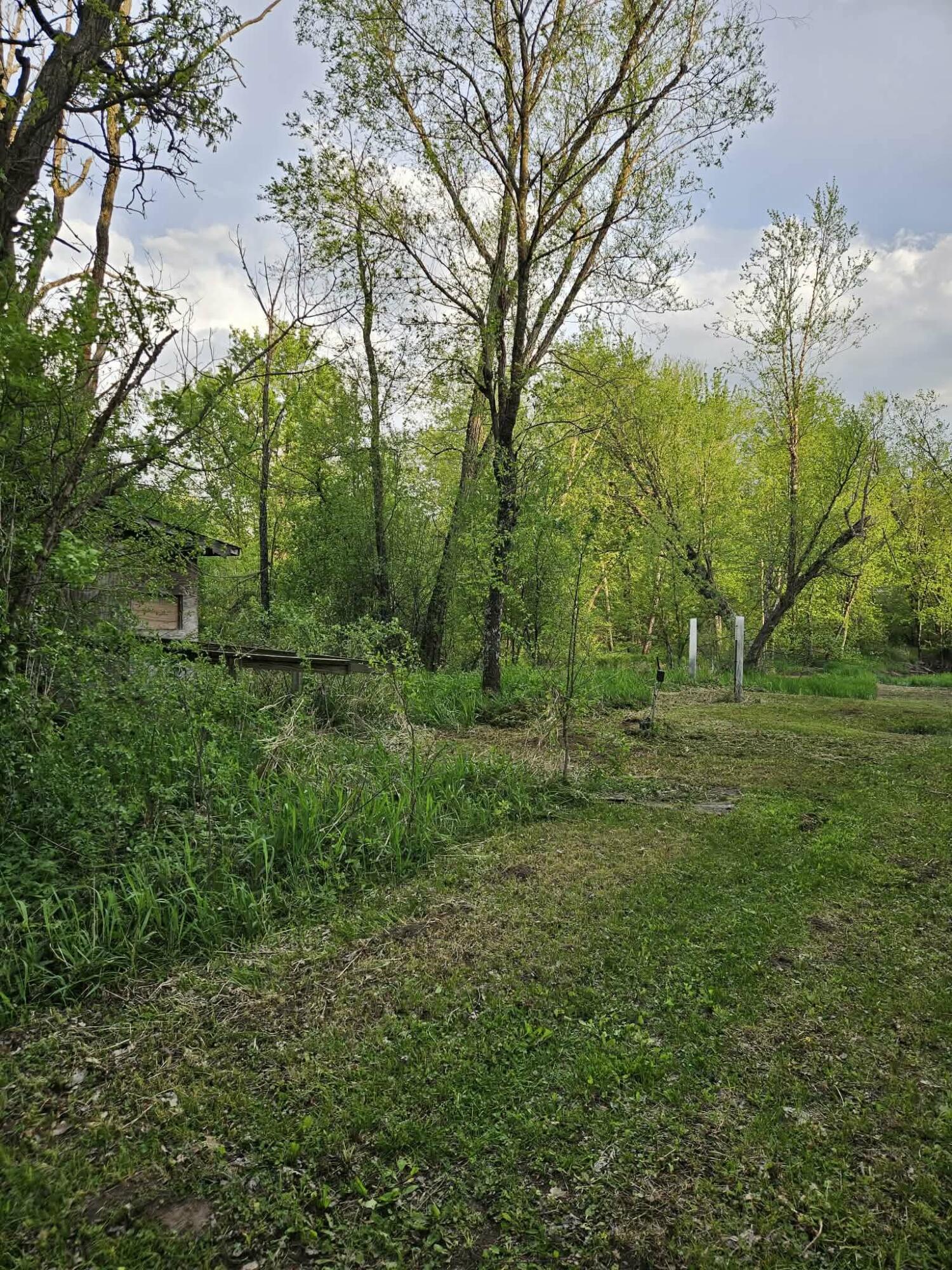 W16875 State Highway 95 Springfield, WI 54659 - Photo 18 of 22 Hunter's Paradise