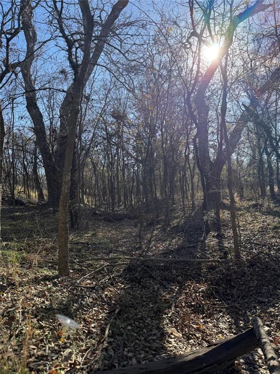 Lot 4-tbd Lot 4-tbd Hidden Valley Rd Valley View Valley View, TX 76272 - Photo 22 of 26