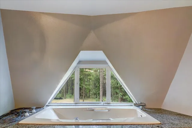 a view of a yard with plants and trees