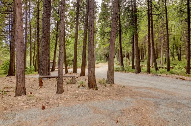 $599,000 | 18125 Douglas Road, Nevada City, CA 95959