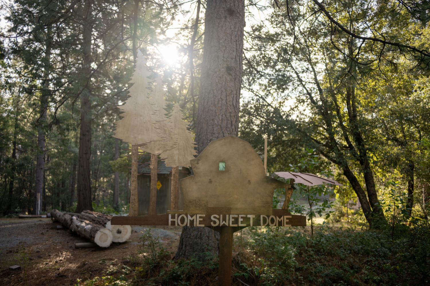 18125 Douglas Road Nevada City, CA 95959 - Photo 36 of 48 a view of a yard with plants and trees