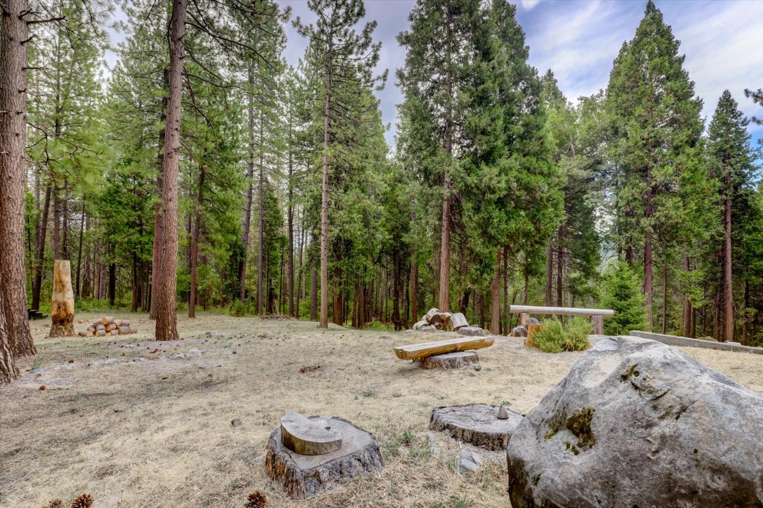 18125 Douglas Road Nevada City, CA 95959 - Photo 45 of 48 a view of outdoor space with trees