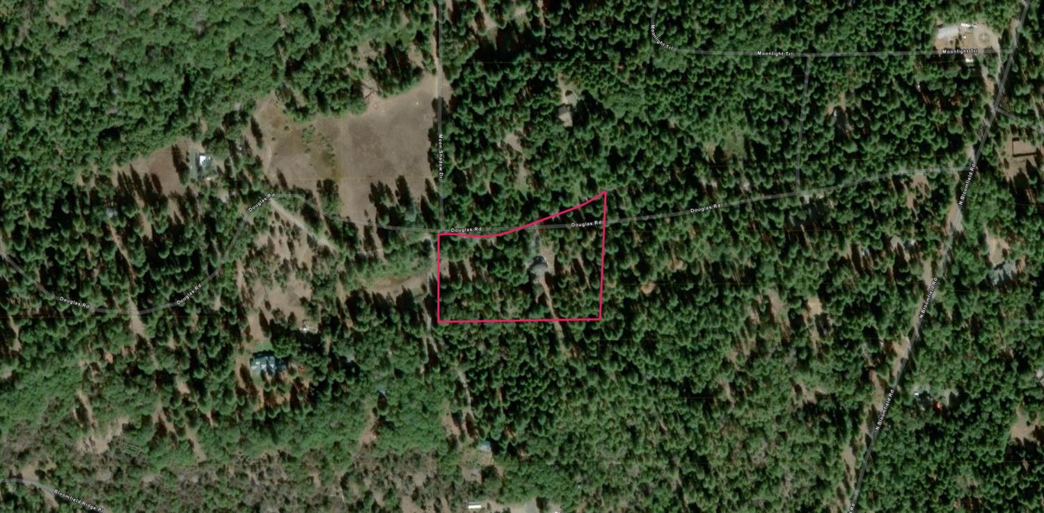 18125 Douglas Road Nevada City, CA 95959 - Photo 48 of 48 a view of a forest