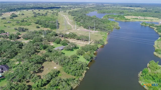 a view of a lush green forest with lots of trees
