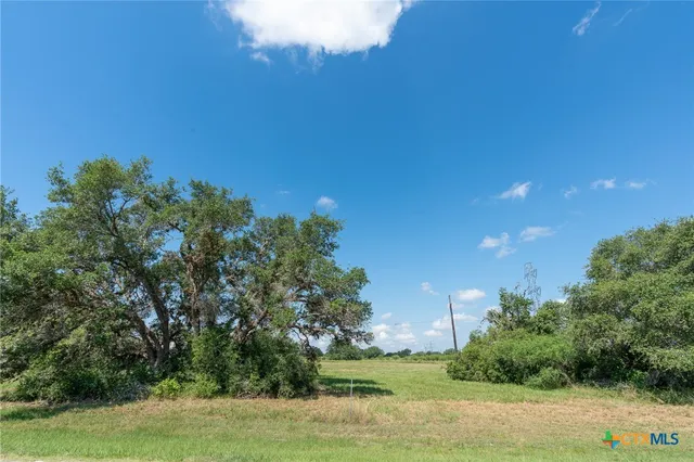 a view of yard with green space
