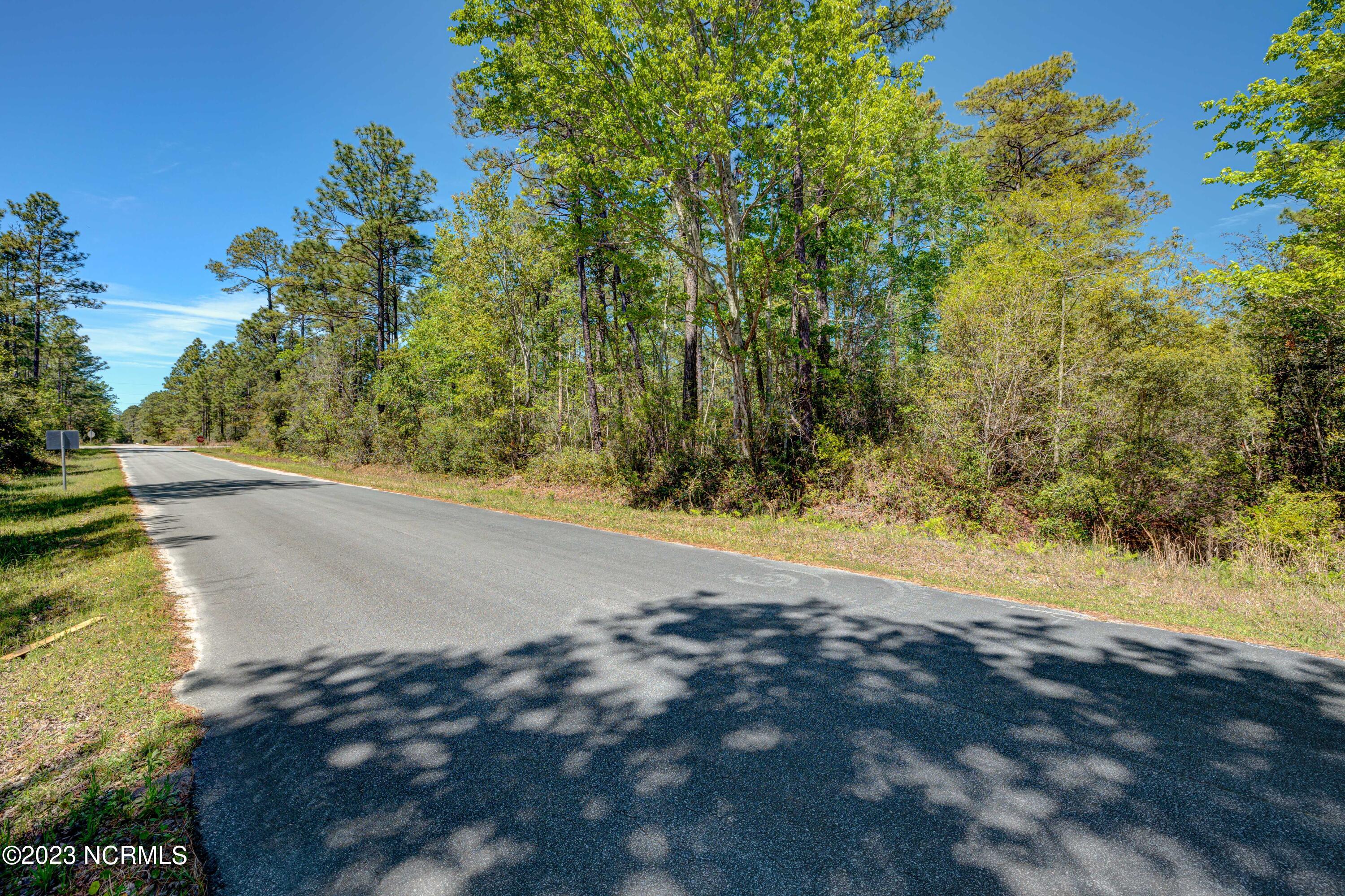 380 Cherry Road Boiling Spring Lakes, NC 28461 - Photo 8 of 8 BoilingSpringLots-21