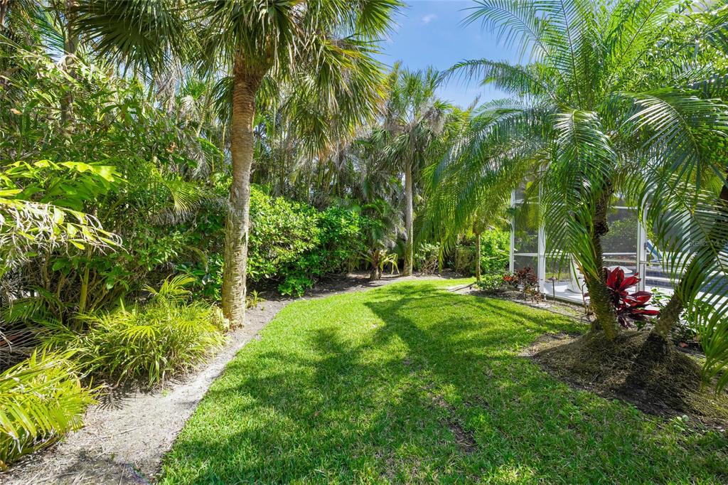 746 Eagle Point Drive Venice, FL 34285 - Photo 40 of 50 a view of a yard with a tree