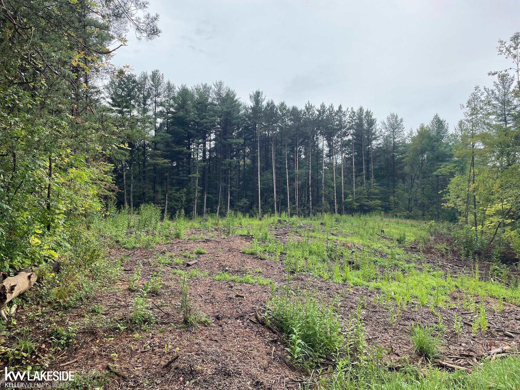 0 Werner Road Columbus, MI 48063 - Photo 2 of 7