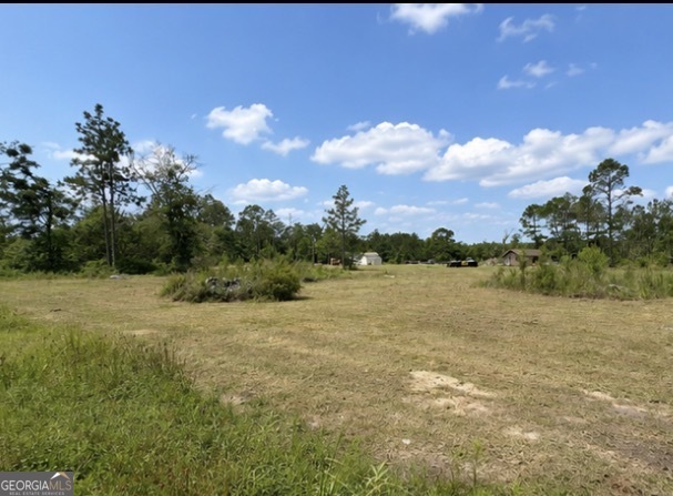1087 Green Morgan School Road Clyo, GA 31303 - Photo 13 of 24
