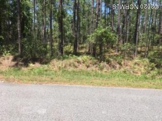 1045 Springdale Road Boiling Spring Lakes, NC 28461 - Photo 1 of 1 1045 Springdale