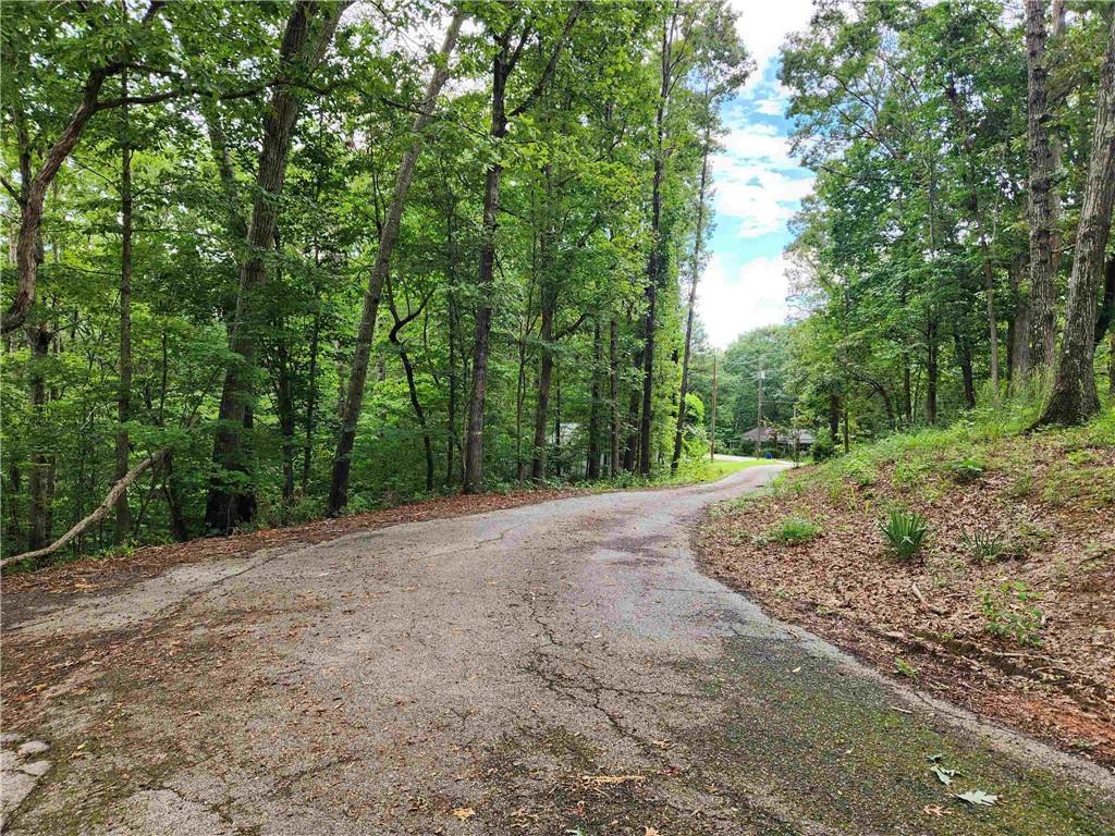 1397 McPherson Church Road Dallas, GA 30132 - Photo 3 of 9 a view of a dirt road with trees in the background